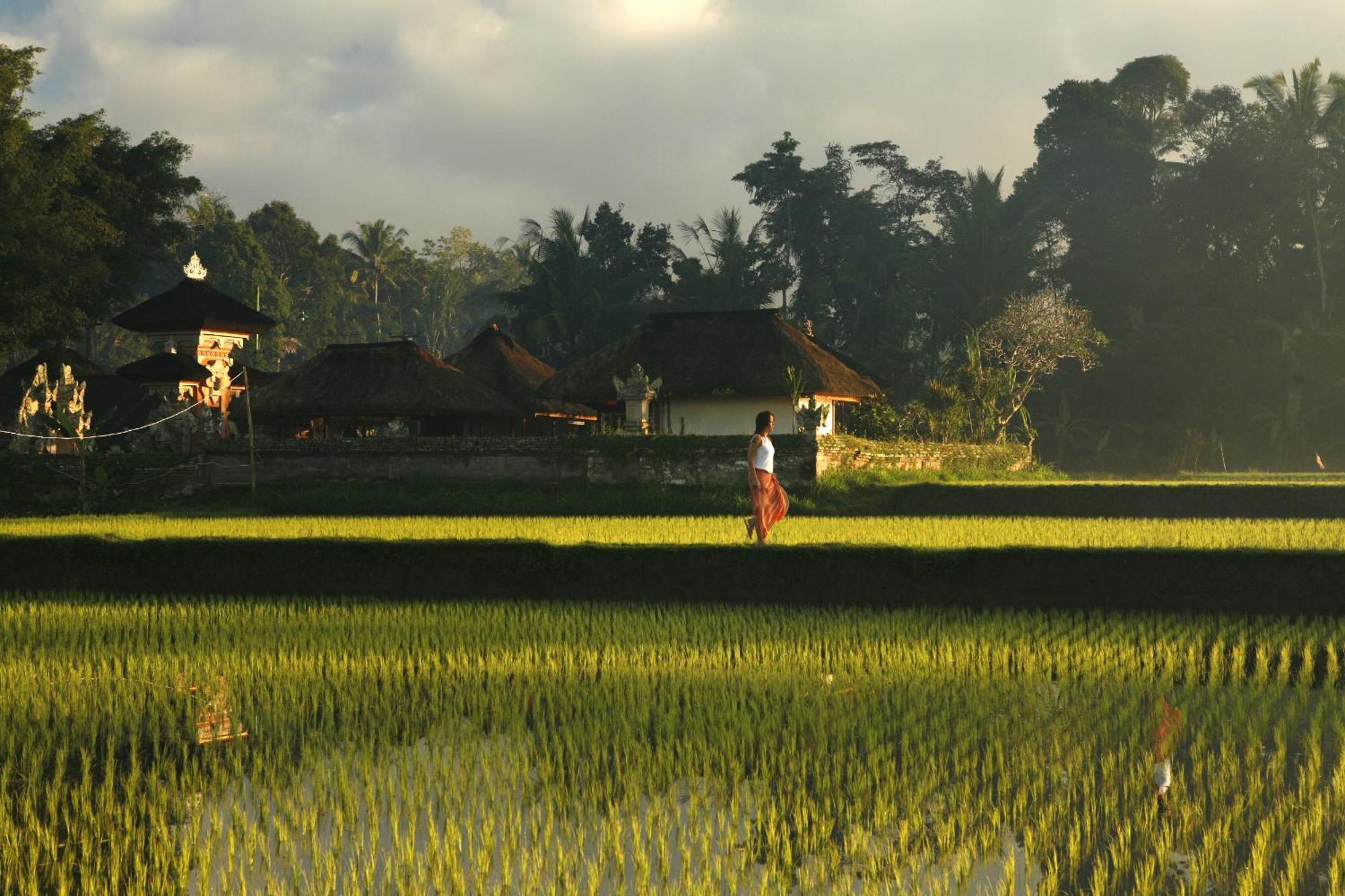 Kayumanis Ubud Private Villas & Spa מתקנים תמונה